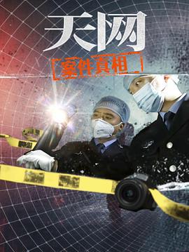 天網：案件真相線上看