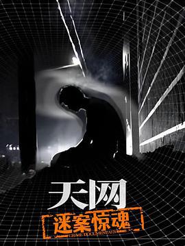 天網：迷案驚魂線上看