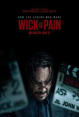 疾速劇痛 / Wick Is Pain線上看