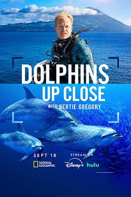 攝影師貝爾蒂與海豚零距離 / Dolphins Up Close with Bertie Gregory線上看