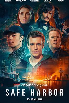 數字暗涌 / Safe Harbor線上看