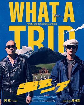 出去一下 What A Trip線上看
