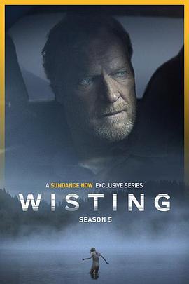警探維斯廷 第五季 / Wisting Season 5線上看