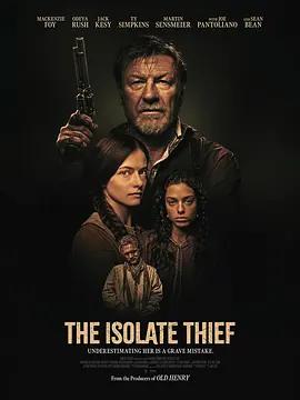 離群索金 / The Isolate Thief線上看