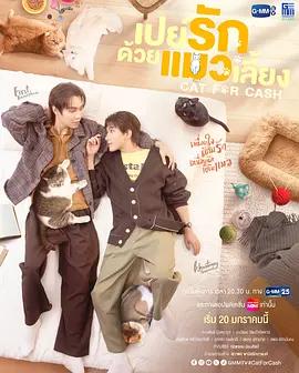 以貓飼愛 / เปย์รักด้วยแมวเลี้ยง線上看