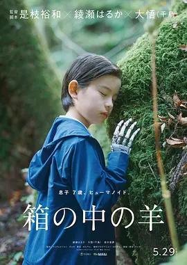 盒子里的羊 / 箱の中の羊線上看