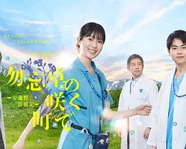 在勿忘草盛開的城鎮 ～安曇野診療記～ / 勿忘草の咲く町で ~安曇野診療記~線上看
