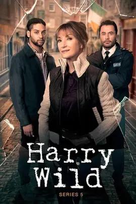野探哈莉 第五季 / Harry Wild Season 5線上看