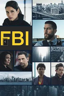 聯邦調查局 第九季 / FBI Season 9線上看
