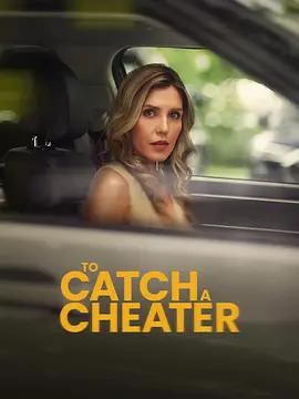 獵騙 / To Catch a Cheater線上看