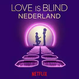愛情盲選：荷蘭篇 / Love is Blind: Nederland線上看