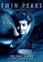 雙峰 第一季 / Twin Peaks Season 1 線上看