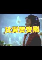 比翼雙雙飛 線上看