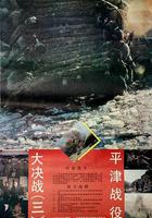大決戰之平津戰役 線上看