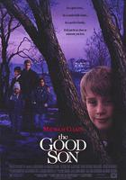 危險小天使 / The Good Son 線上看