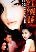 紅絨花 線上看