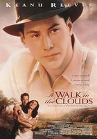 雲中漫步 線上看
