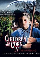 玉米田的小孩4 線上看