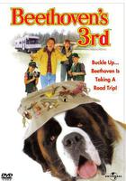 無敵當家3 線上看