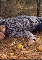 藍狐之戀 線上看