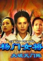 楊門女將之大破天門陣 線上看