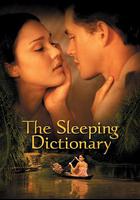 字典情人 / The Sleeping Dictionary 線上看