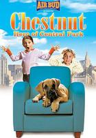 切斯納特：中央公園的英雄 線上看