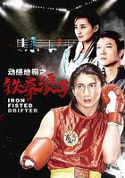 鐵拳浪子 線上看