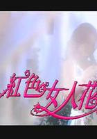 紅色女人花 線上看