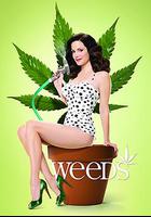 單身毒媽 第一季 / Weeds Season 1 線上看