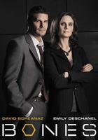 識骨尋蹤 第一季 / Bones Season 1 線上看