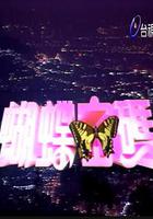 蝴蝶密碼 線上看