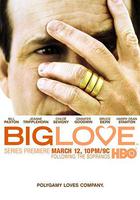 大愛 第一季 / Big Love Season 1 線上看