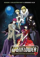 完美小姐進化論 線上看