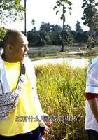 黑山匪幫 線上看