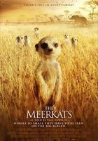 蒙哥 / The Meerkats 線上看