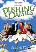 靈指神探  第二季 / Pushing Daisies Season 2 線上看