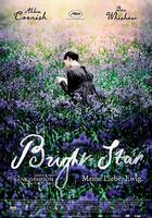 明亮的星 / Bright Star 線上看