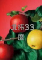北緯33度 線上看