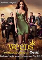 單身毒媽 第六季 / Weeds Season 6 線上看