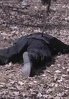 大明嬪妃之逐鹿 線上看