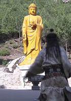 大明嬪妃之困鬥 線上看