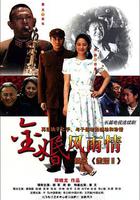 金婚·風雨情 線上看