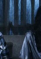 老婆不在家 線上看