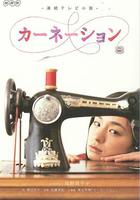 康乃馨 / カーネーション 線上看