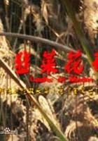 韭菜花開 線上看