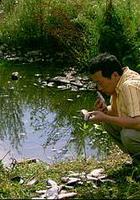 來福，來福 線上看