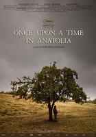 小亞細亞往事 / Bir Zamanlar Anadolu'da 線上看