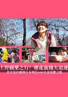 上野樹里之行！櫻花前線大追跡～從喜馬拉雅到日本列島5400公里的櫻之路~ / 上野樹里が行く！桜前線大追跡 ～ヒマラヤから日本列島5,400キロの桜ロード～ 線上看