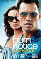 火線警告 第六季 / Burn Notice Season 6 線上看